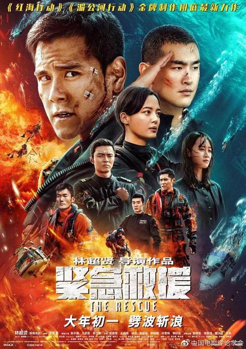 做假阿尔巴尼亚驾驶执照